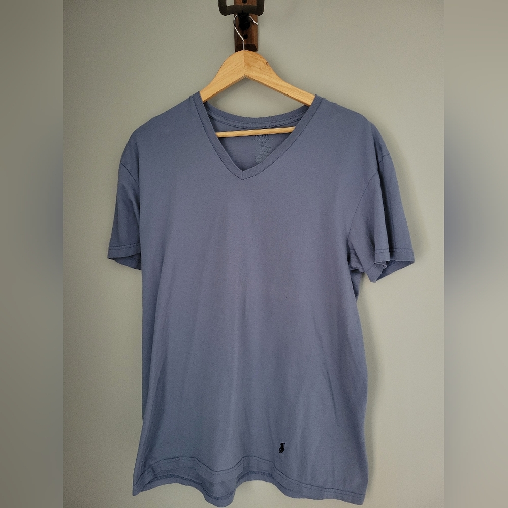 Polo Ralph Lauren Mens Size L Classic Fit V-Neck Tee Shirt Blue